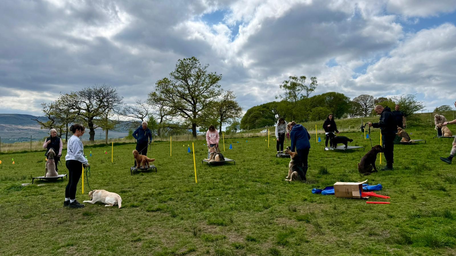 A group class spread out across a field, each owner working with their dog