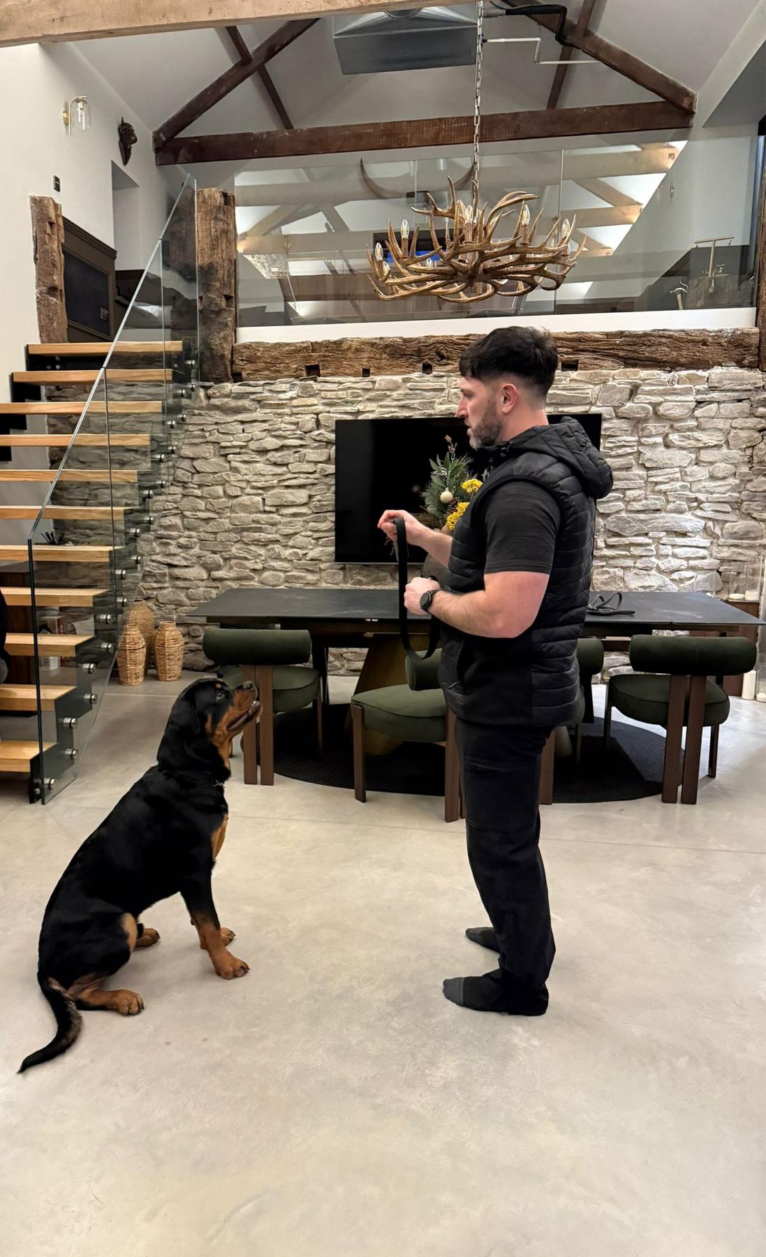 Ryan working with a young Rottweiler during a session in a client's home