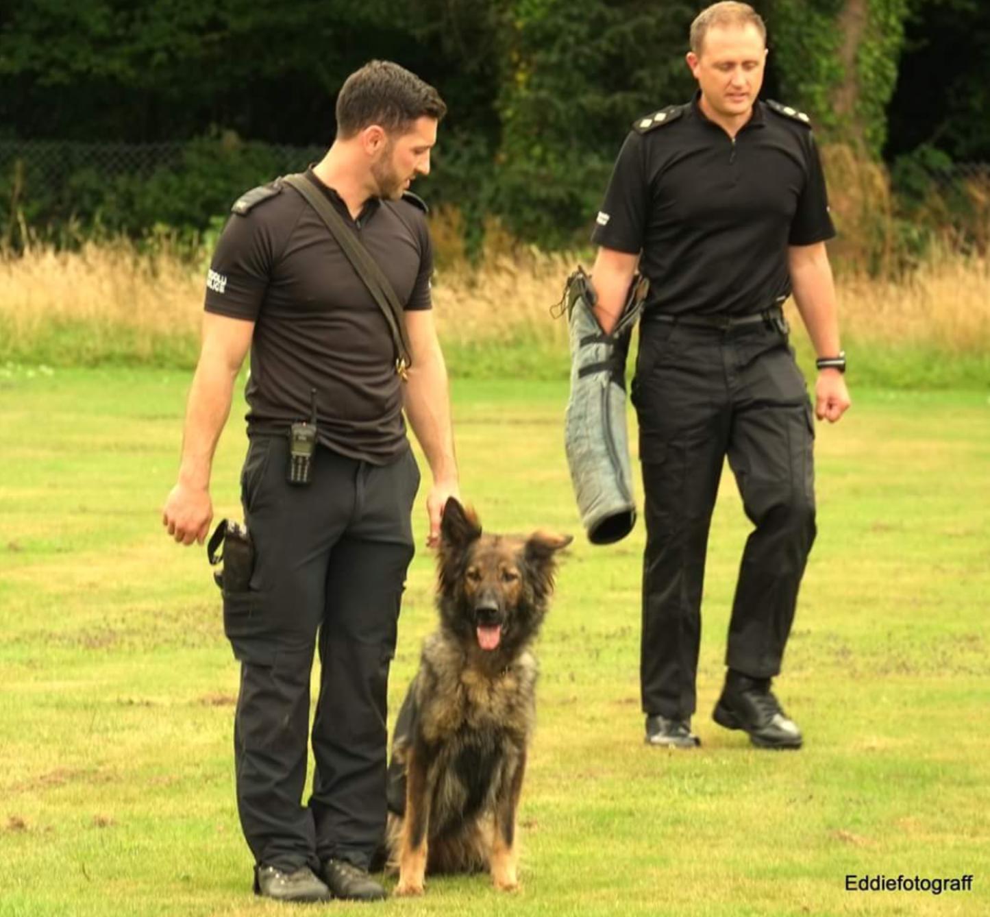 Ryan and a fellow officer on a training field with a German Shepherd police dog sitting between them