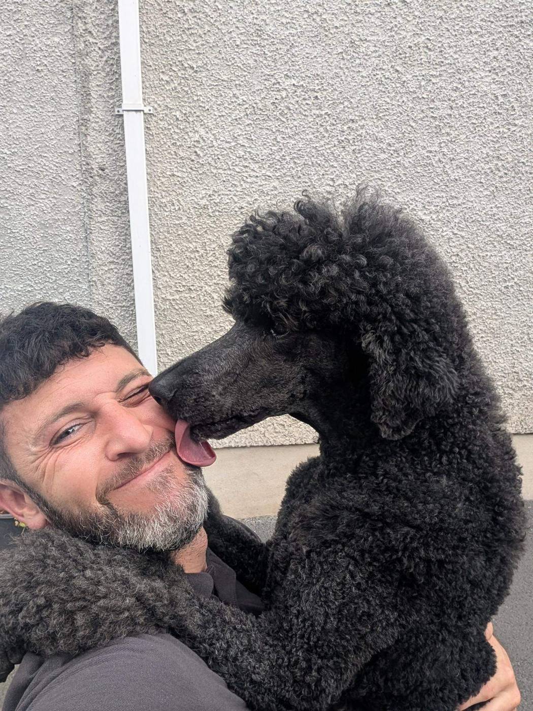 A black Standard Poodle giving Ryan a lick on the cheek