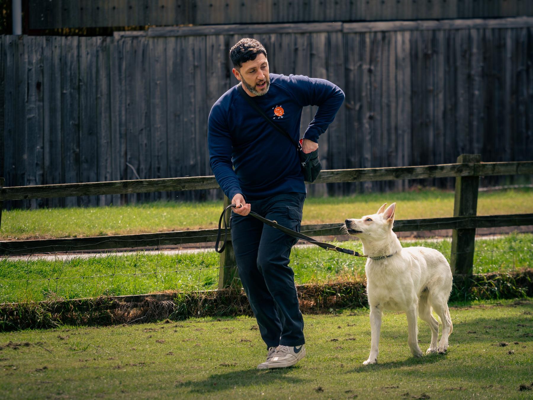 Ryan walking a white shepherd dog on a loose lead at an outdoor session